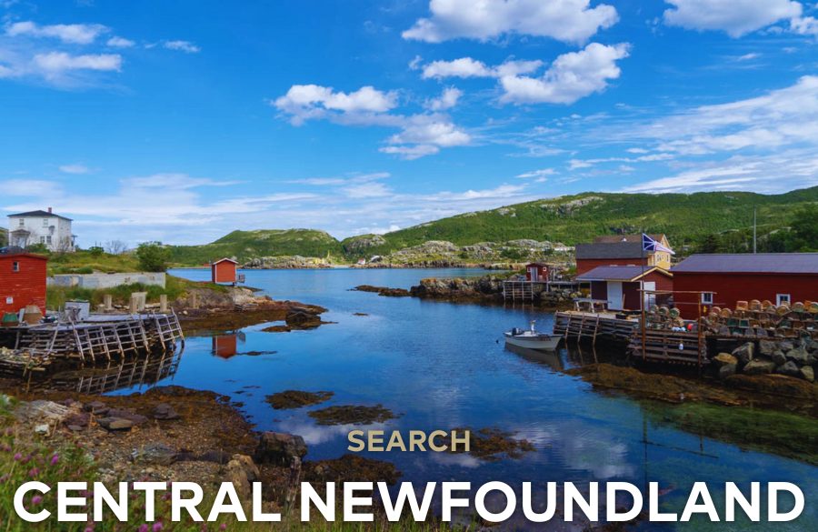central-newfoundland-real estate